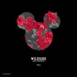 Wildside x Disney