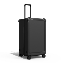 29" Check-In Trunk Suitcase