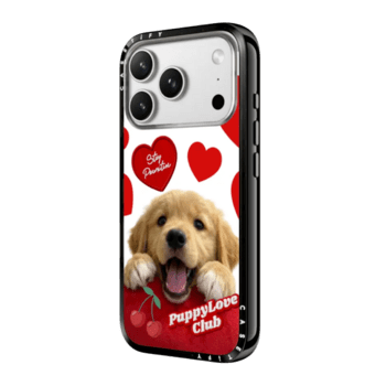 Compact Case