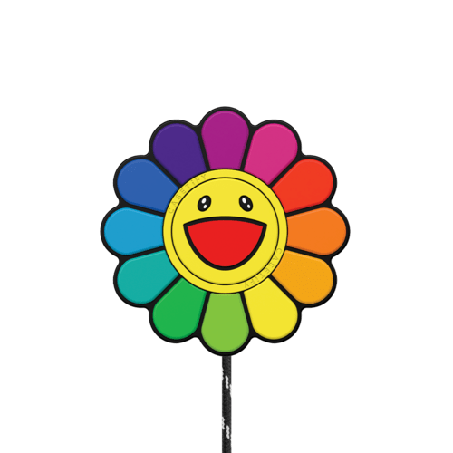   - FLOWERS (RAINBOW) MAGNETIC WIRELESS CHARGER