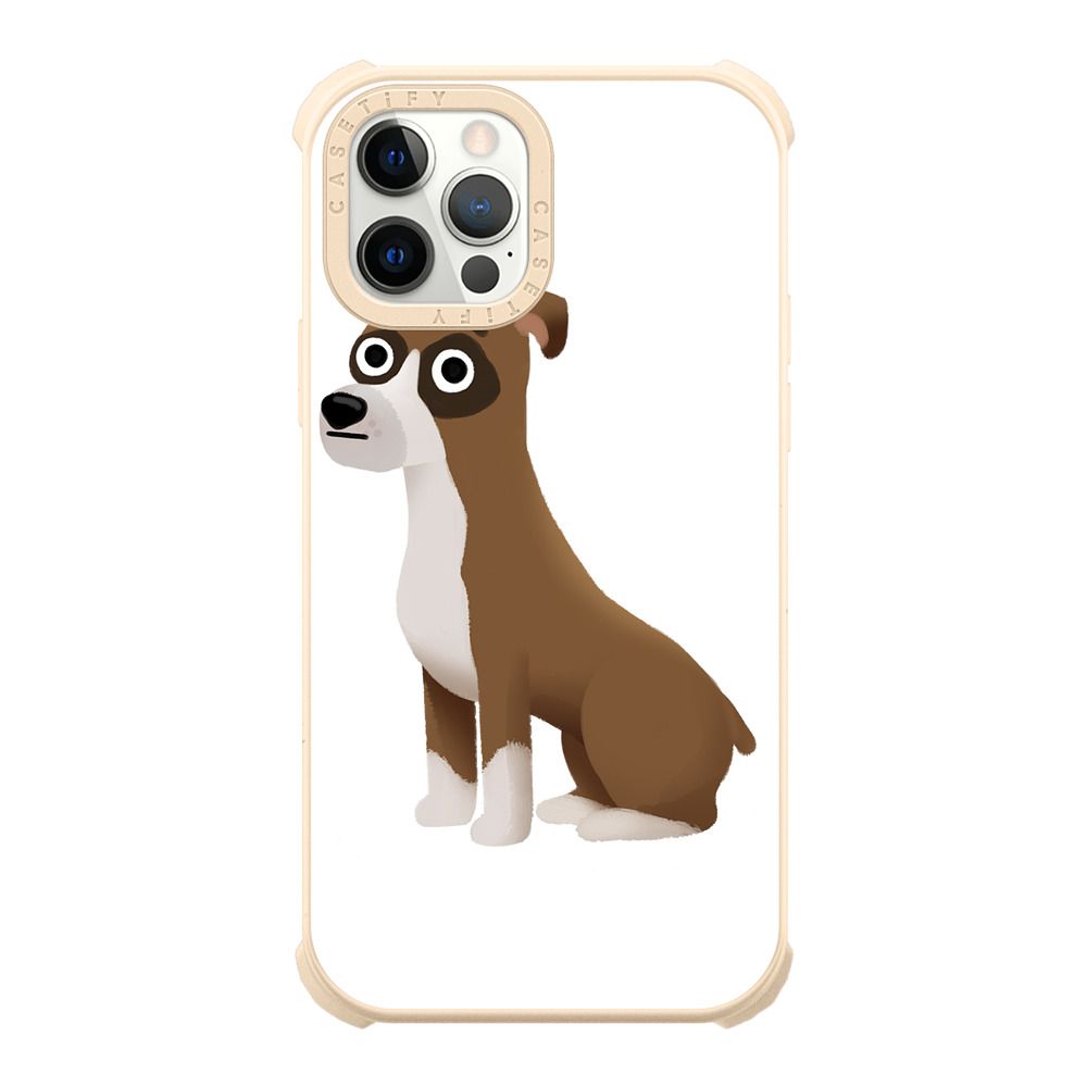 boxer dog accessories