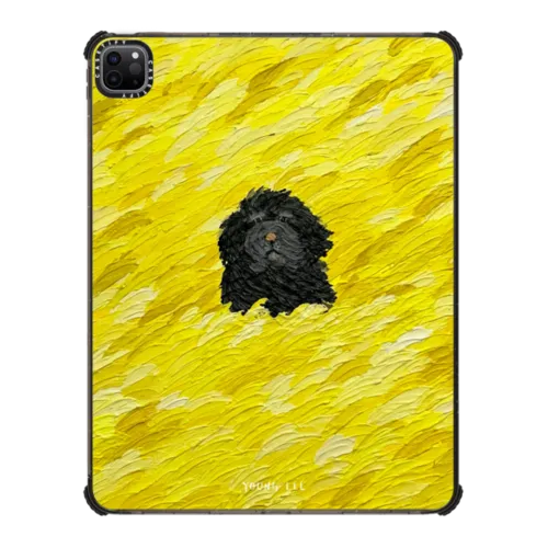 iPad Pro 12.9-inch (5th/6th gen) - Flow no.14