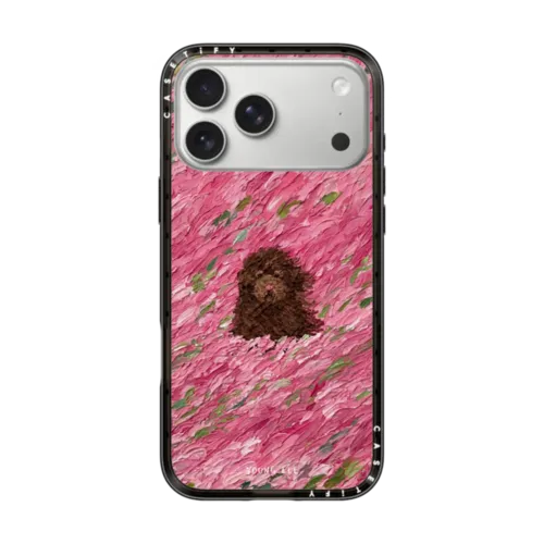 iPhone 17 Pro Max - Flow no.6