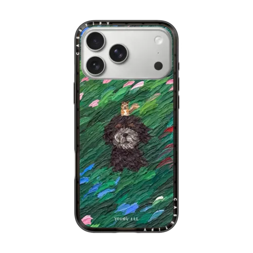 iPhone 17 Pro Max - Flow no.17