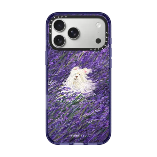 iPhone 17 Pro Max - Flow no.3