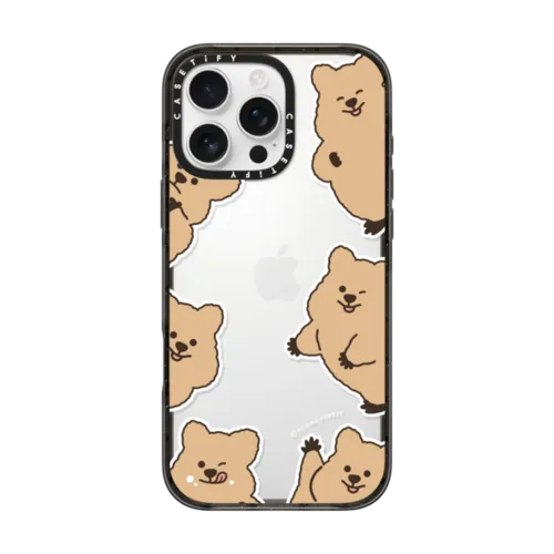 iPhone 16 Pro Max - Can you find me KKOTKA