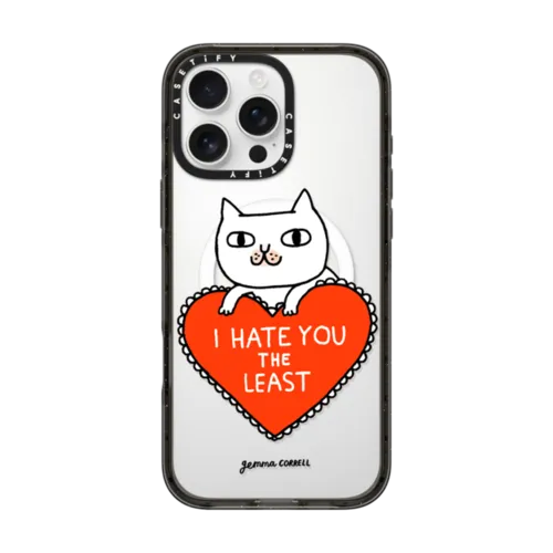 iPhone 16 Pro Max - I Hate You The Least