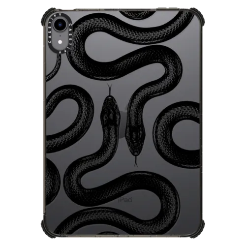 iPad mini (6th gen) - Black Kingsnake