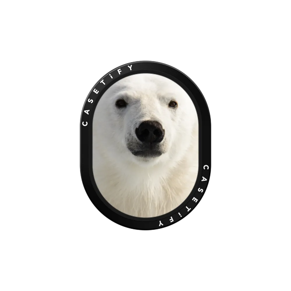 Wireless Car Charger MagSafe Compatible  - Polar Bear