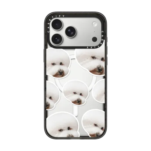 Pets Collection – CASETiFY
