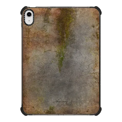 iPad 10.9-inch (10th gen) - cement moss
