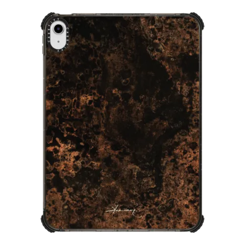 iPad 10.9-inch (10th gen) - acid rust