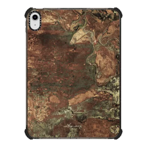iPad 10.9-inch (10th gen) - acid moss