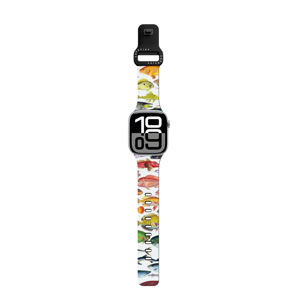 Impact Band - Fish Rainbow
