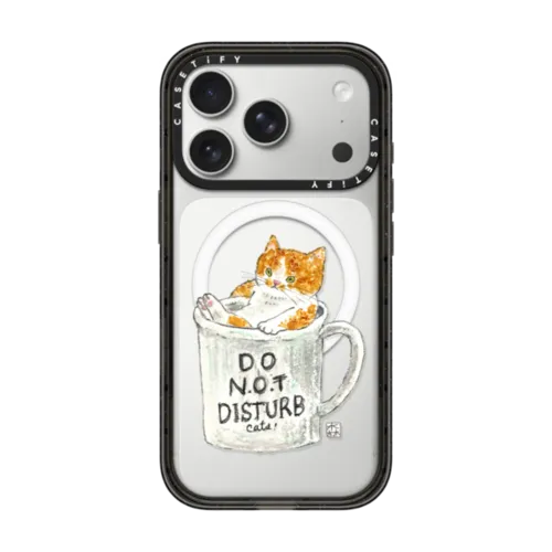 iPhone 17 Pro - Do not disturb cats!