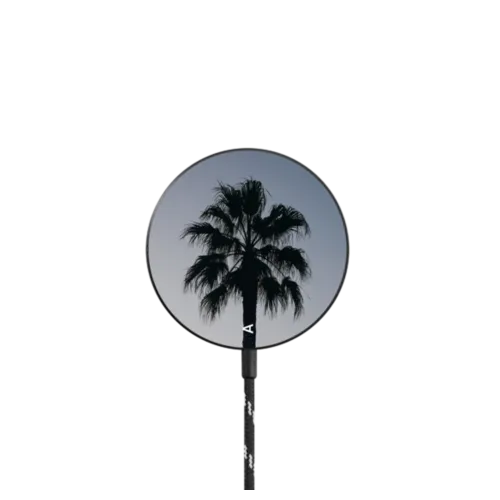   - One Palm