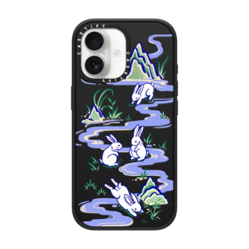 iPhone 17 Case | CASETiFY