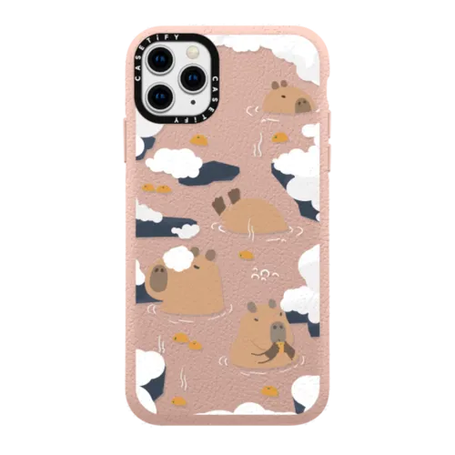 iPhone 11 Pro Max Cases – CASETiFY