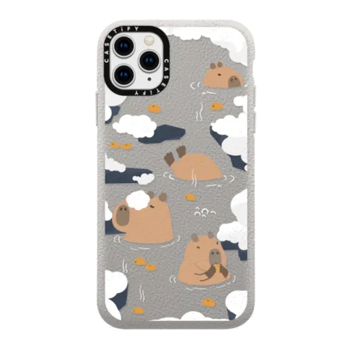iPhone 11 Pro Max Cases – CASETiFY