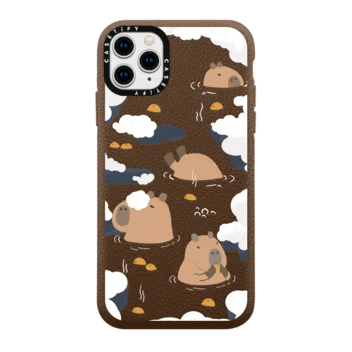 iPhone 11 Pro Max Cases – CASETiFY