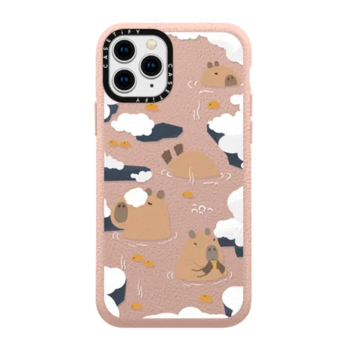 iPhone 11 Pro Cases – CASETiFY
