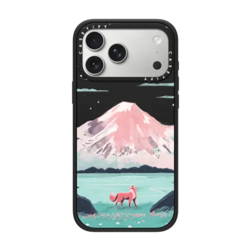iPhone 17 Pro Max Case | CASETiFY