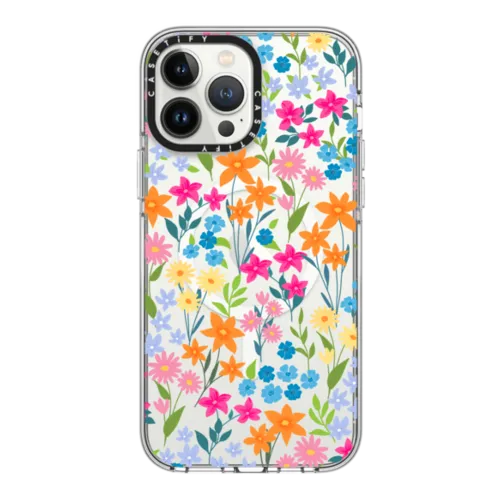iPhone 13 Pro Max all Cases – CASETiFY