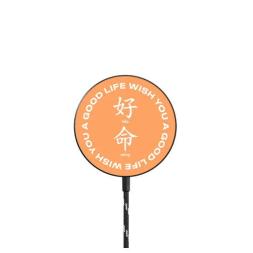   - WYAGL Magnetic Wireless Charger - Orange