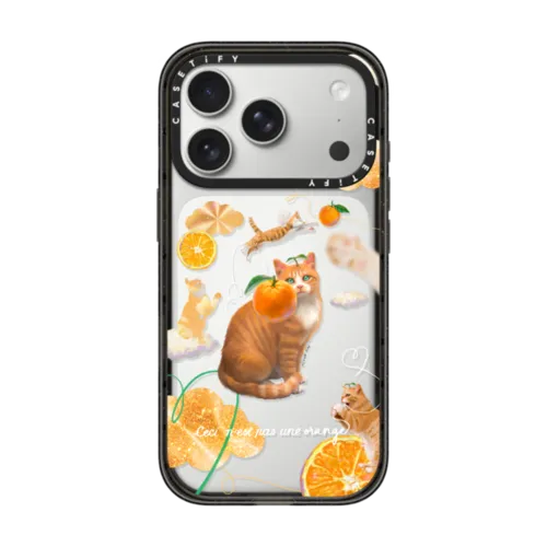 iPhone 17 Pro - Flying Orange Cat