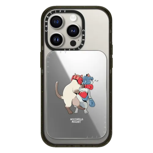 Snappy Cardholder Stand - Fighting Cat