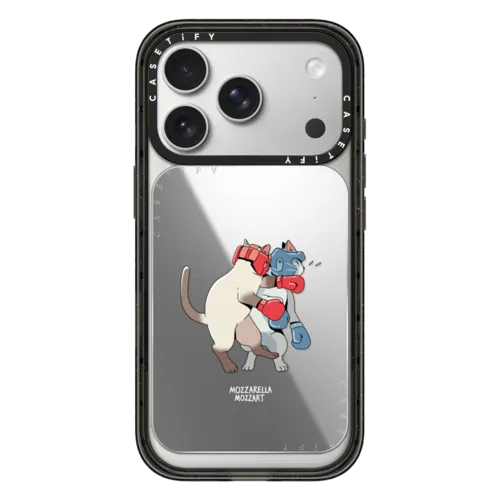 Snappy Cardholder Stand - Fighting Cat