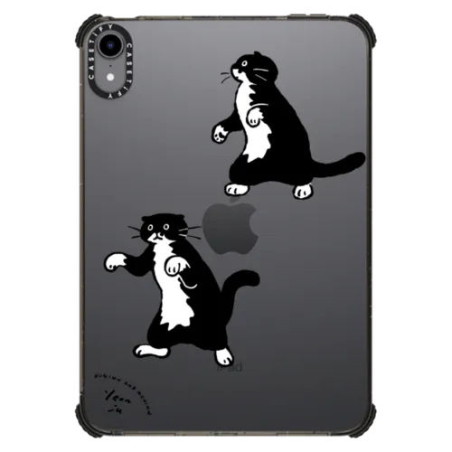 iPad mini (6th gen) - walking mo