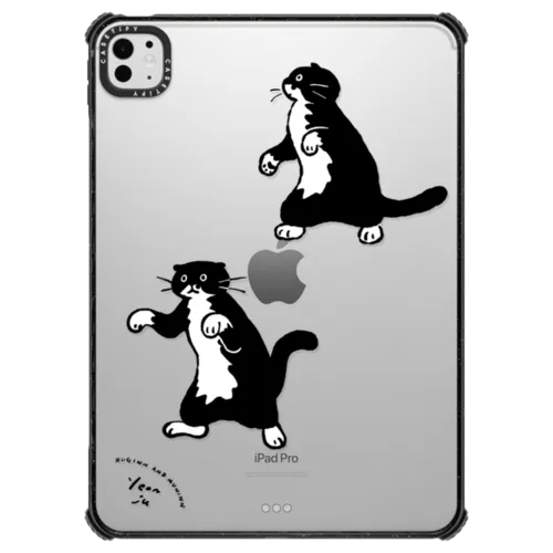 iPad Pro 11-inch (M4/M5) - walking mo