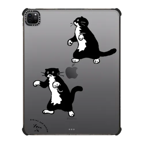 iPad Pro 12.9-inch (5th/6th gen) - walking mo