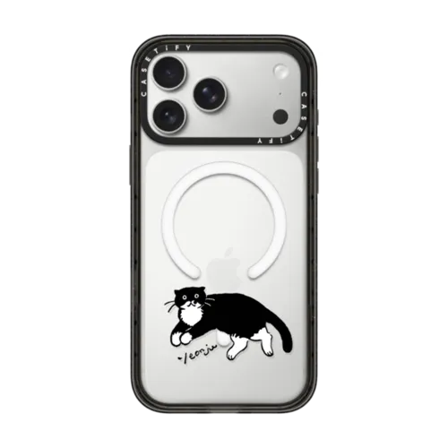 iPhone 17 Pro Max - MODAERI's rest time