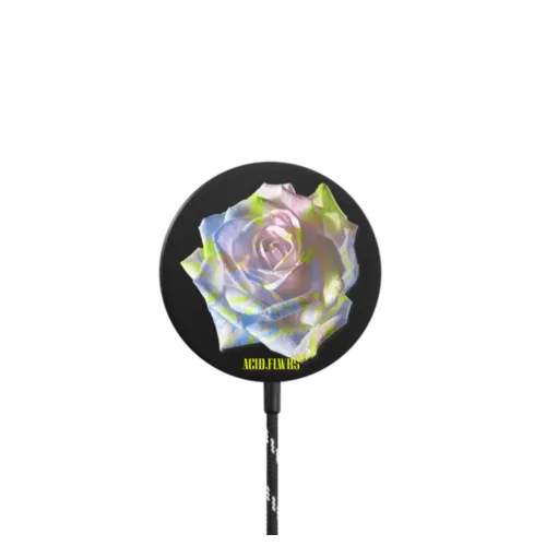   - Marble Rose