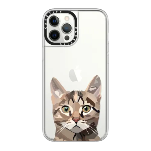 iPhone 12 Pro Max - Cat