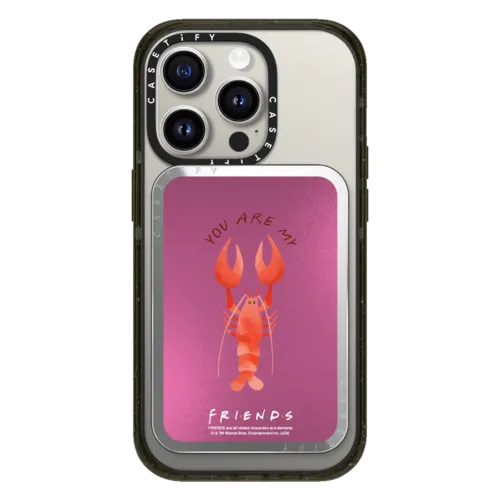 Snappy Cardholder Stand - You Are My Lobster Mirror Snappy Cardholder Stand