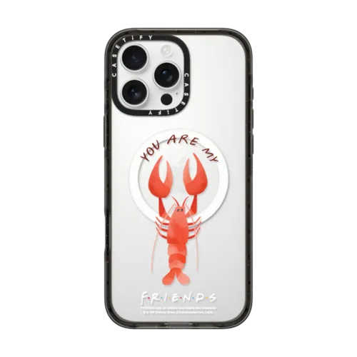 iPhone 16 Pro Max - You Are My Lobster Phone Case