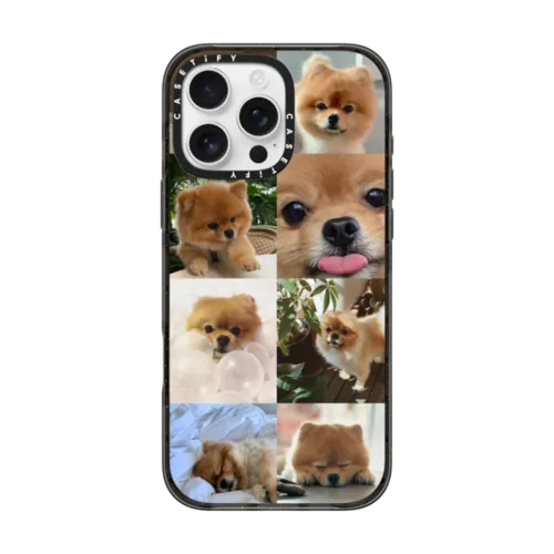 Shop Casetify's Best Dog Phone Cases for iPhone & Samsung