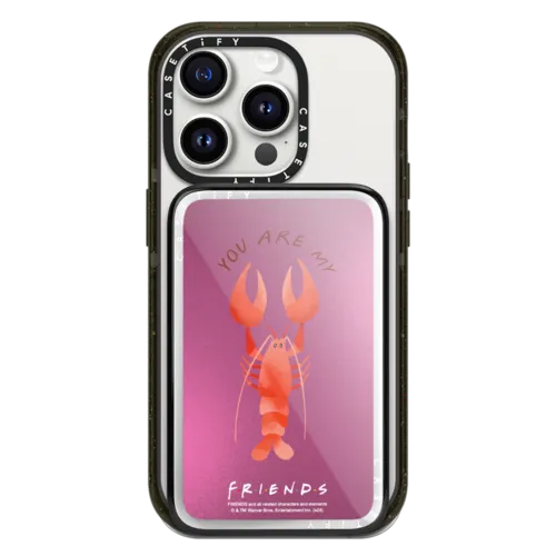 PowerThru Power Bank - You Are My Lobster Mirror PowerThru Power Bank