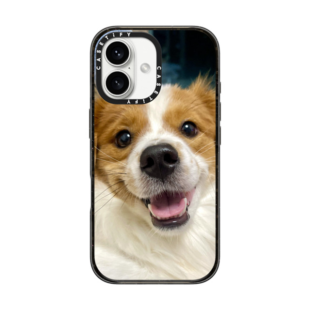 IMPACT CASE
