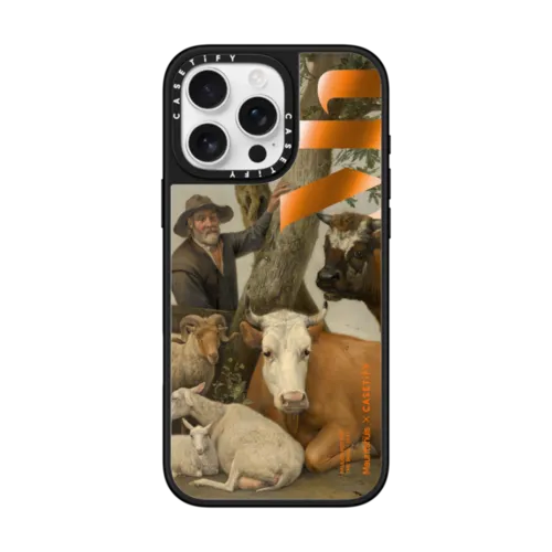 iPhone 16 Pro Max - The Bull Case