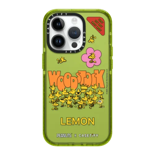 Peanuts – CASETiFY