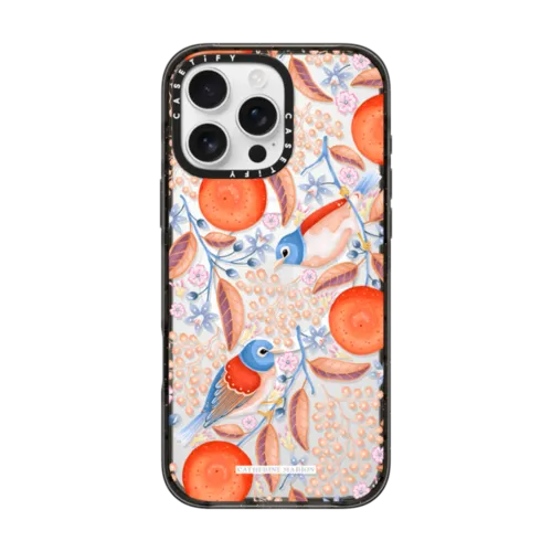 iPhone 16 Pro Max - Waxeyes & Oranges